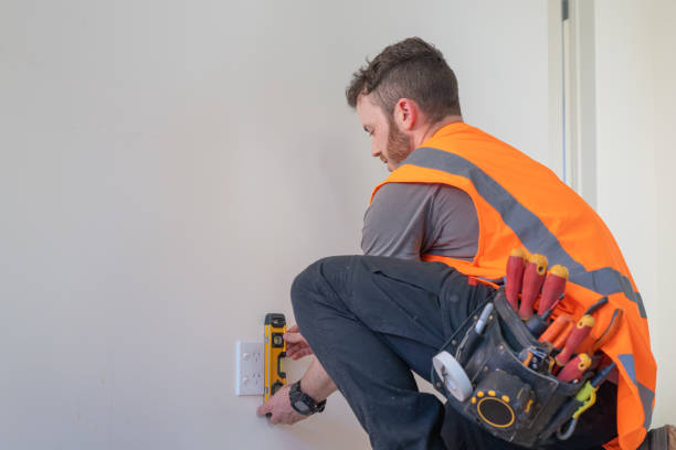 Best Electric Panel Repair  in Saxapahaw, NC